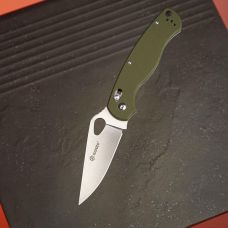 Нож складной Ganzo G729-GR зеленый