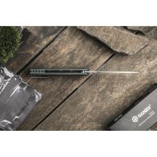 Нож складной Ganzo G769-GR