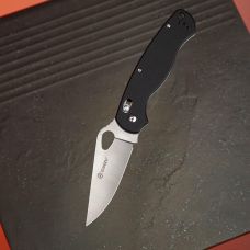 Нож складной Ganzo G729-BK черный