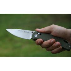 Нож складной Ganzo G7531-GR