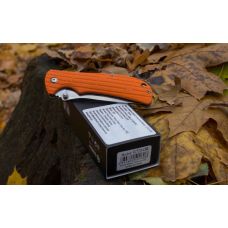 Нож складной Ganzo G723 черный