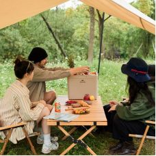 Туристический холодильник Naturehike CNK2300BS011, 24 л, бежевый