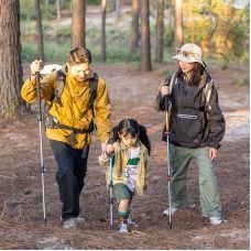 Трекинговая палка 3-сек. Naturehike Men ST 01 6061 AL NH17D001-Z, алюминий, золотистая