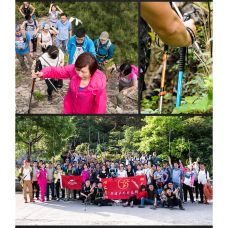 Трекинговая палка 3-сек. Naturehike Women 6061 AL NH17D001-Z, 57-120 см, алюминий, золотистая