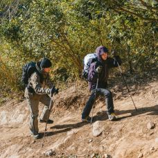 Трекинговая палка 3-секционная Naturehike ST06 NH17D006-D, 66-135 см, зеленая
