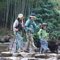 Трекинговая палка 3-сек. Naturehike CNK2550DS010, 55-120 см, алюминий, зеленый