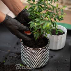 Коврик для пересадки растений Oxford 600D, 66x66 см, в сложенном виде 40x40x11 см, TQ-P2/070