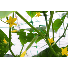 Сітка шпалерна PLANT NET, 8 г/м², 15x17см, 2x20м, AS-CN08151720020