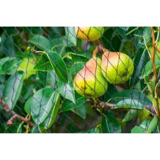 Сетка для защиты от птиц, DIAMOND, 20 г/м², тканая, 15 x 15 мм, 7,5 x 7,5 м, AS-BN2015150750075