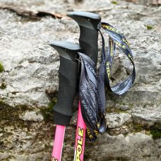 Палки трекинговые Vipole Trekker Violet (S25 11)