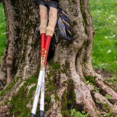 Палки трекинговые Vipole Trekker Cork (S25 09)