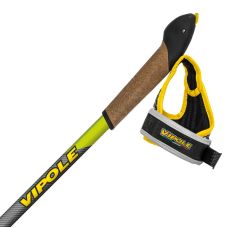Палиці для скандинавської ходьби Vipole Instructor Vario QL Green DLX (S25 26)