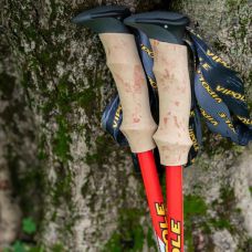 Палки трекинговые Vipole Trekker Cork (S25 09)