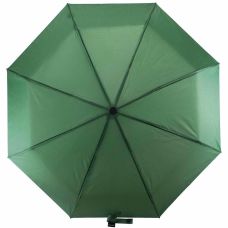 Зонтик Semi Line Green (L2036-6)