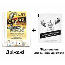 Дріжджі COOBRA Винні BERGURION 10 г + Універсальне підживлення для винних дріждів Spirit ferm з вітамінами 10 г