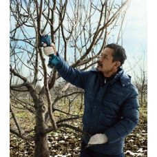 Секатор акумуляторний Bosch Professional Pruner, 12В, D різу 25мм, 1000гр, без АКБ та ЗП