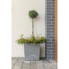 Кашпо LAMELA Юка h30*d30*v 16,5 сірий бетон (000006701)