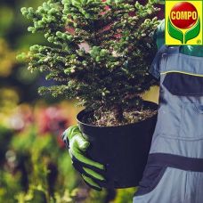 Удобрение для самшитов Compo 0,85 кг