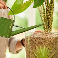Жидкое удобрение COMPO BIO GRANUPLANT для растений в гранулированном субстрате, 0,5л