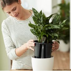 Вставка с автополивом Elho Self-Watering Insert 17 см, черная