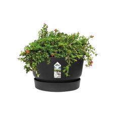 Горшок Elho greenville bowl (графит)