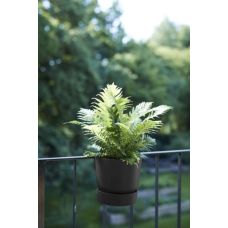 Горшок Elho greenville plant hanger single гранит