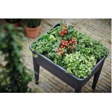 Теплица в комплекте Green Basics Grow Kit All in 3, черный
