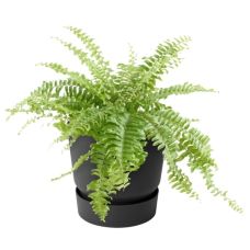 Горшок Elho greenville plant hanger single гранит