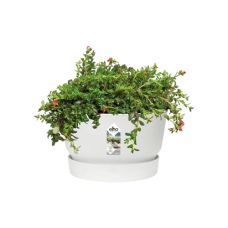 Горшок Elho greenville bowl (белый)