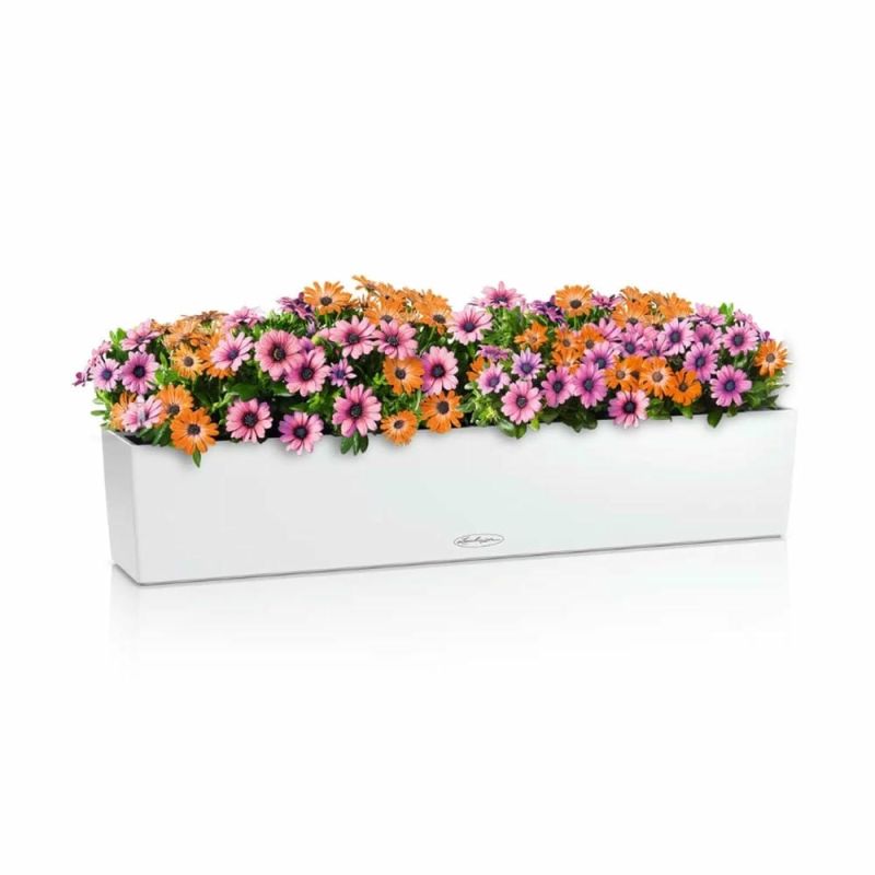 Вазон Lechuza Balconera Color 100, білий