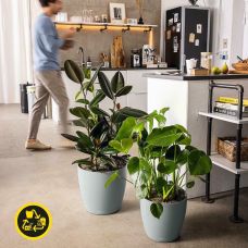 Вазон Lechuza CLASSICO Color ECO 60 сірий