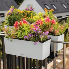Вазон Lechuza BALCONERA Color 40, мускат
