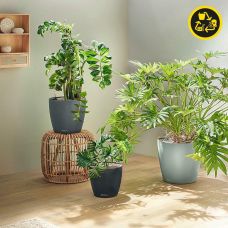 Вазон Lechuza CLASSICO Color ECO 35 светло-серый