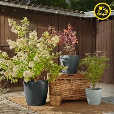 Вазон Lechuza CLASSICO Color ECO 35 светло-серый