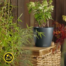 Вазон Lechuza CLASSICO Color ECO 60 сірий