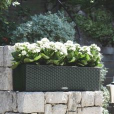 Вазон Lechuza BALCONERA Cottage 100, мокко