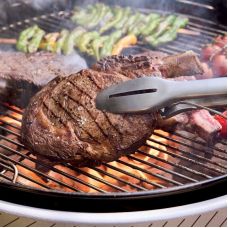 Угольный гриль Weber Performer Premium Smart 57 см