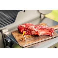 Датчик до електроних термометрів WEBER iGrill,  1 шт