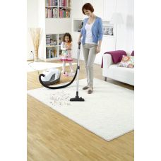 Пилосос із аквафільтром Karcher DS 6 Premium Plus