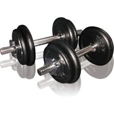 Гантели сборные Toorx 20 кг с кейсом (VAL-20DGN)