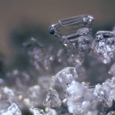 Микроскоп Bresser Erudit ICD (30.5) (5803600)