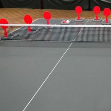 Тренувальний набір для настільного тенісу Gewo Flip-Paddle Set (109180000)