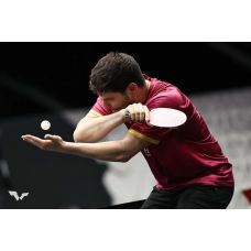 Ракетка для настольного тенниса Butterfly Ovtcharov Expert FL (6116700002)