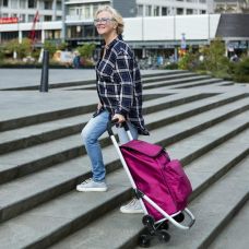 Сумка-візок ShoppingCruiser Stairs Climber 53 Grey (6043611)