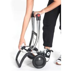 Сумка-тележка Rolser Big Polar 2L Negro (BIG004-1023)