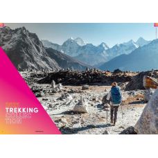 Треккинговые палки Vipole Trekker Cork (S20 12)