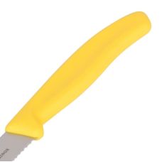 Кухонный набор Victorinox SwissClassic Tomato&Table Set, 2 предмета (Vx67836.L118B)