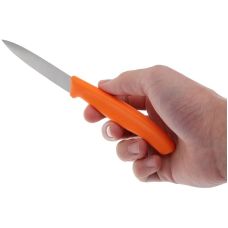 Кухонний набір Victorinox SwissClassic Paring Set, 2 предмети (Vx67606.L119B)