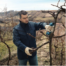 Аккумуляторный секатор Bosch Professional Pro Pruner Solo (06019K1020) без АКБ и ЗП