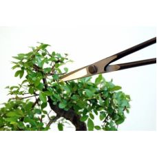 Ножницы Bonsai Okatsune KST206 (KST206)